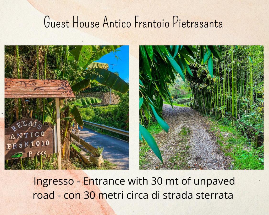 Guest House Antico Frantoio Pietrasanta Affittacamere Extérieur photo